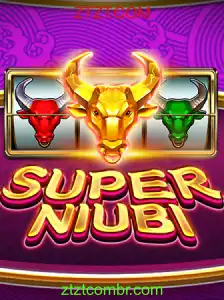 A Experiência Imersiva e Estratégica de SuperNiubi